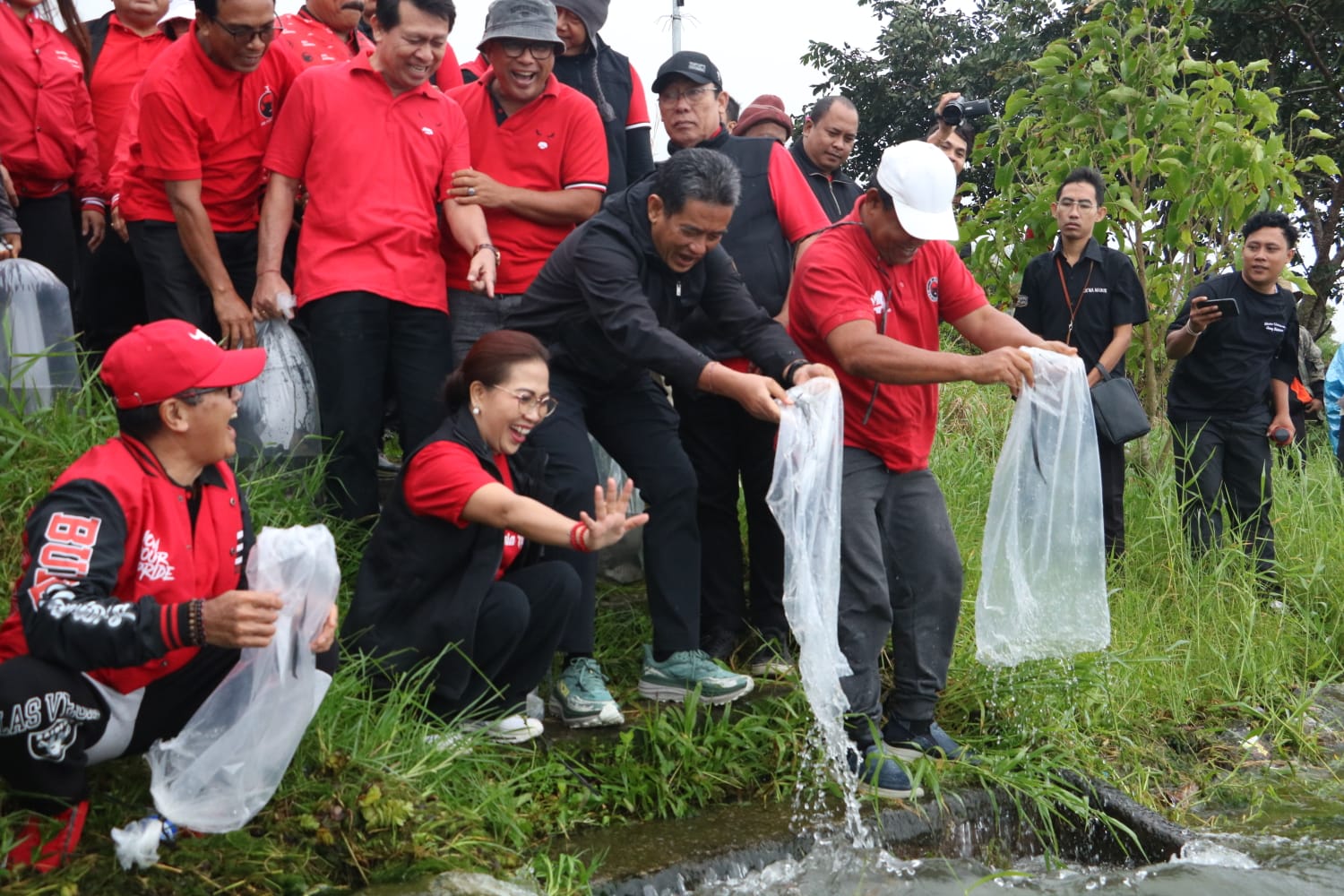 PDI Perjuangan Gelar Aksi “Merawat Pertiwi” Peringati HUT ke-79 Megawati di Danau Buyan