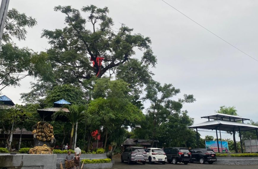 Rumah Pohon Setra Desa Adat Buleleng, Dari Pos Pantau Kapal Kini Jadi Destinasi Wisata Heritage