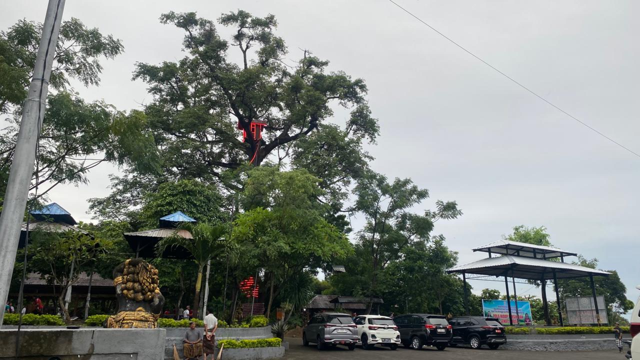 Rumah Pohon Setra Desa Adat Buleleng, Dari Pos Pantau Kapal Kini Jadi Destinasi Wisata Heritage