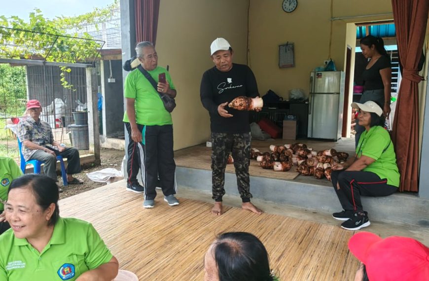 Pelatihan Olahan Talas dan Telur Asin untuk Lansia, Wayan Soma Adnyana Bangkitkan Ekonomi Desa