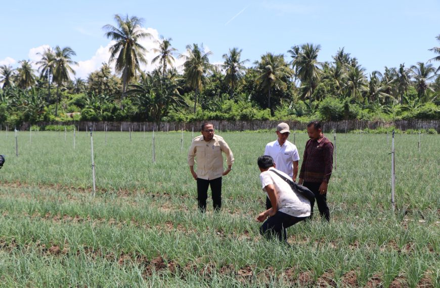Pemkab Buleleng Perkuat Komitmen Ketahanan Pangan, Sambut Kunjungan Kepala Staf Kepresidenan di Sentra Bawang Gerokgak