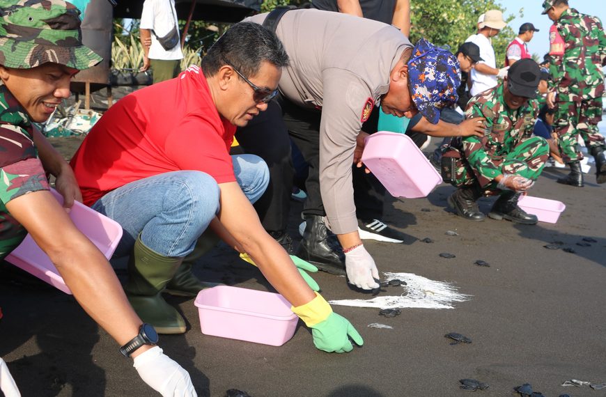 Wabup Supriatna Ajak Masyarakat Lestarikan Lingkungan, 200 Tukik Dilepasliarkan di Pantai Banjar